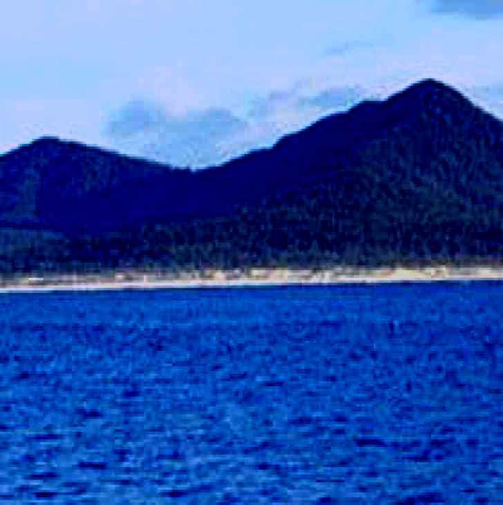 SubjectCoach | Gabo Island