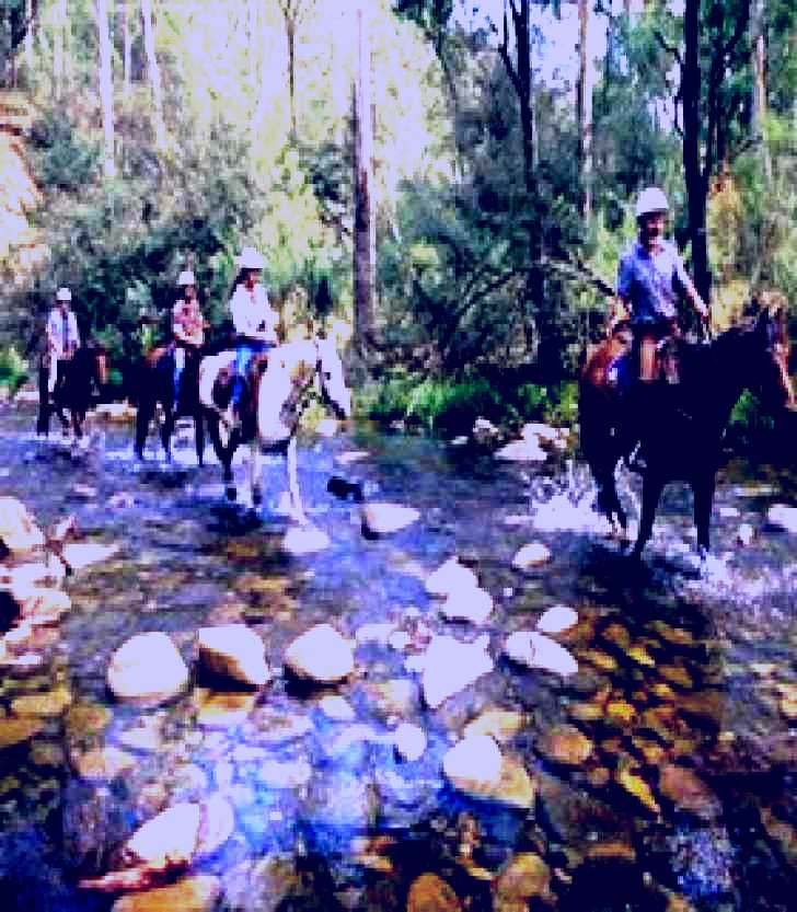 SubjectCoach | Howqua Hills Historic Area