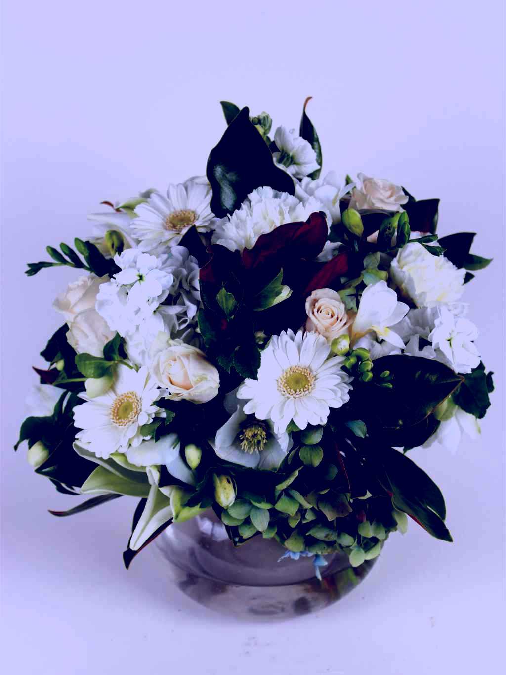 SubjectCoach | Judy Chirnside Flowers