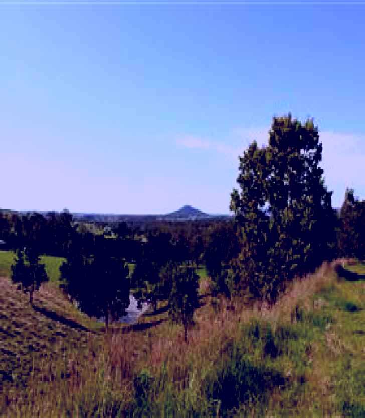 SubjectCoach | Mt Piper Nature Conservation Reserve