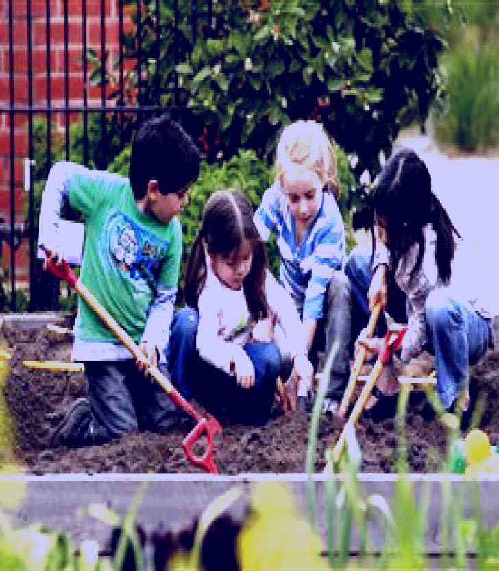 SubjectCoach | The Ian Potter Foundation Children's Garden