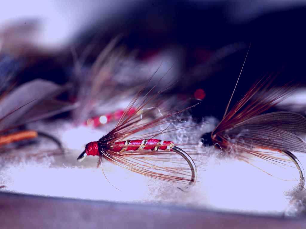 SubjectCoach | Australian Fly Fishing Museum