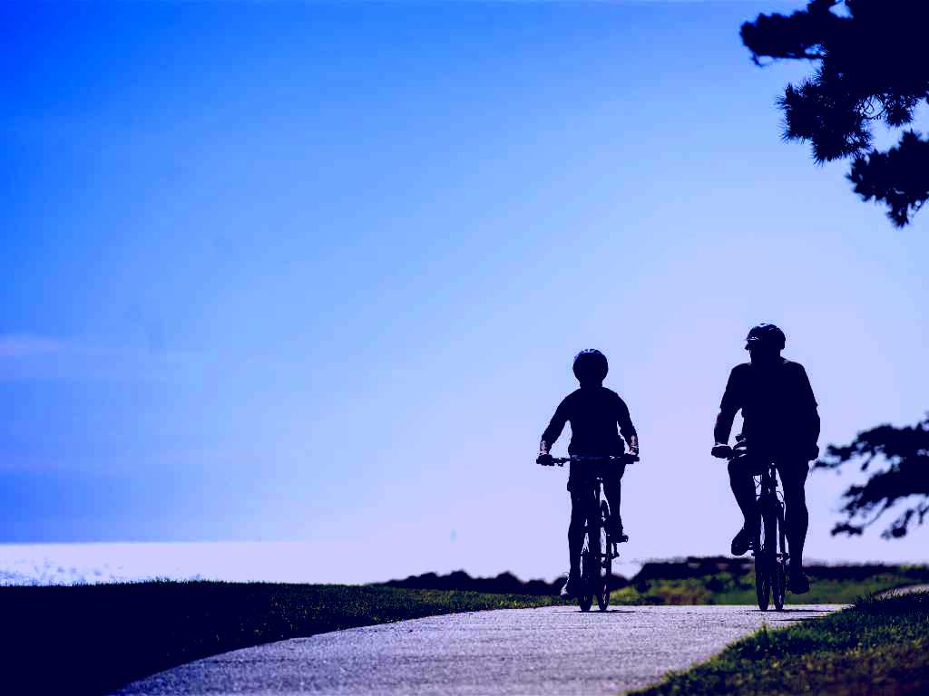 SubjectCoach | George Town to Low Head Walking and Cycling Trail