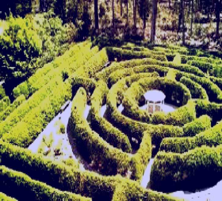 SubjectCoach | Glengarry Bush Maze and Tearooms - The