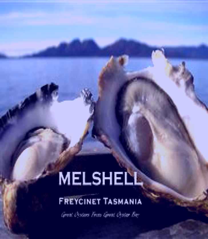 SubjectCoach | Melshell Oysters