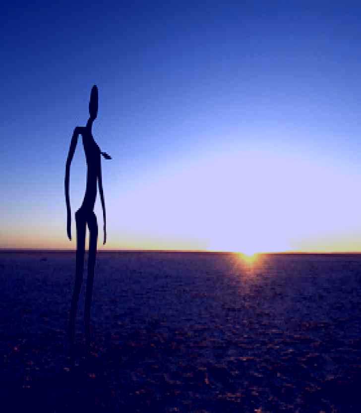 SubjectCoach | Inside Australia - Antony Gormley Sculptures