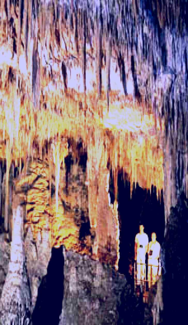 SubjectCoach | Mammoth Cave