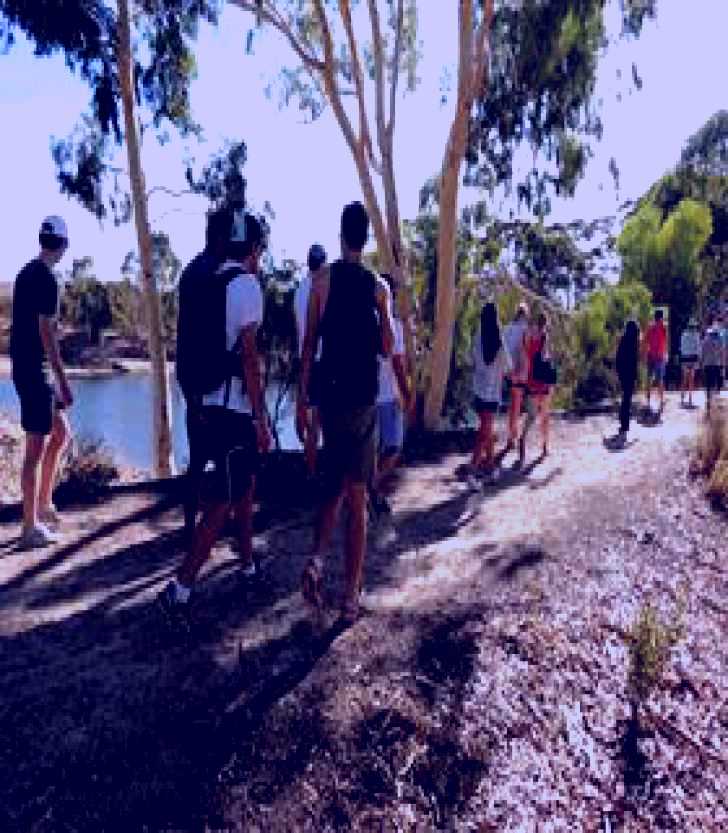 SubjectCoach | Merredin Peak Trail