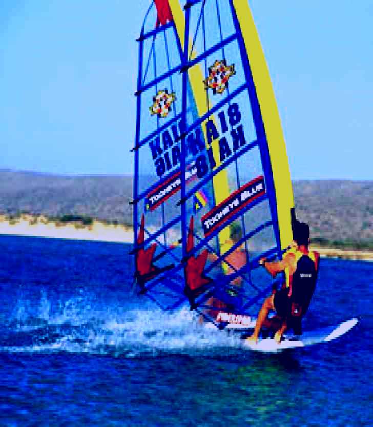 SubjectCoach | Windsurfing and Surfing