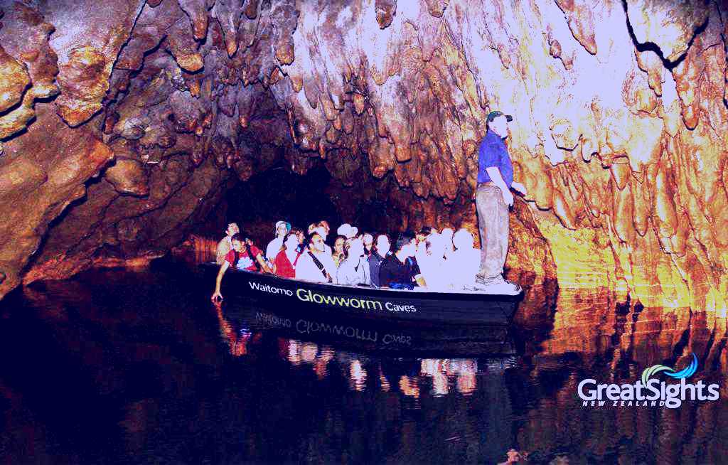 SubjectCoach | Waitomo Caves Day Tour From Auckland