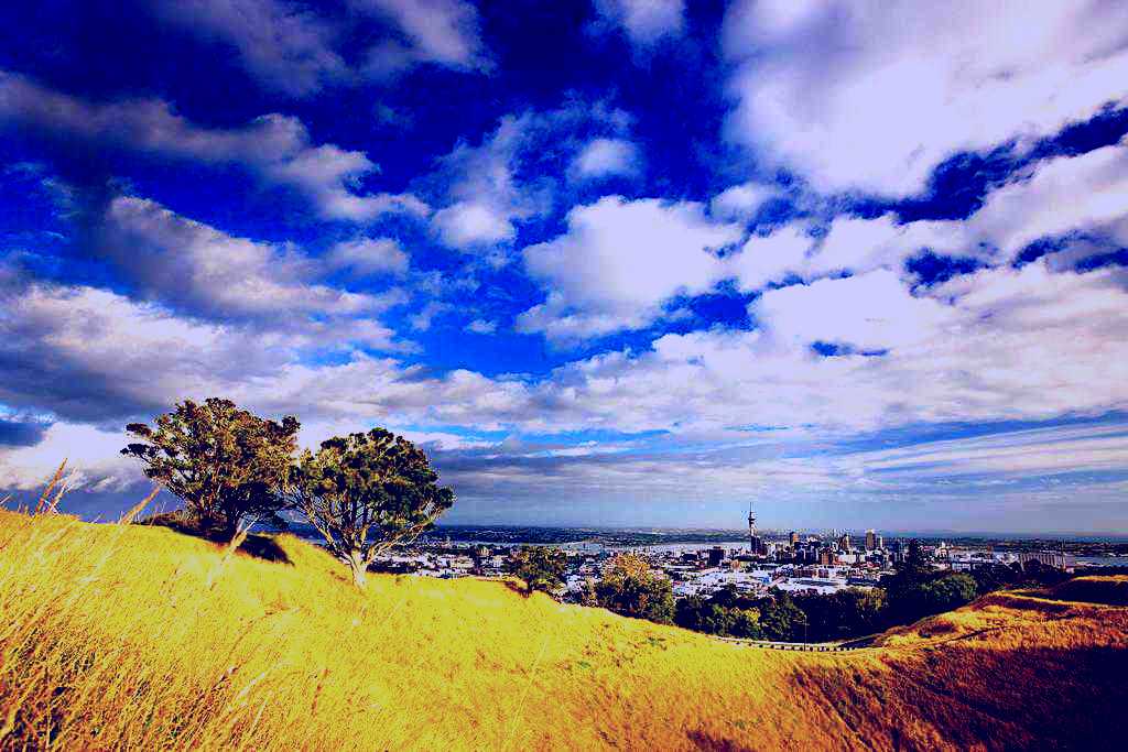 SubjectCoach | Auckland All Inclusive Full Day Tour