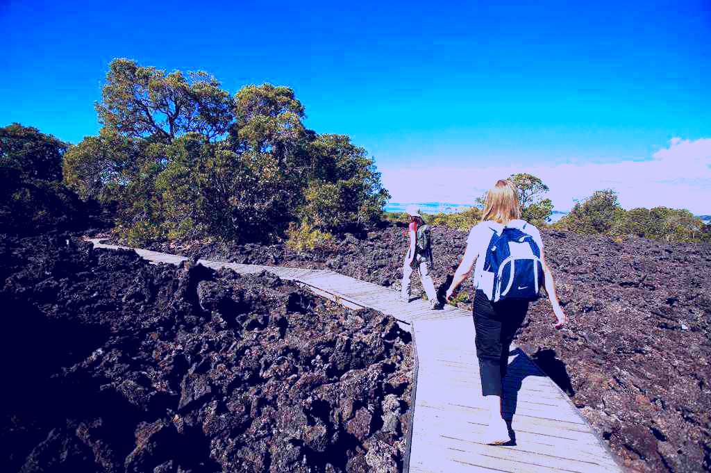 SubjectCoach | Fullers Rangitoto Island