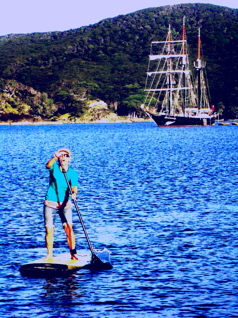 SubjectCoach | Shiny Paua Stand Up Paddleboard Hire and Tours