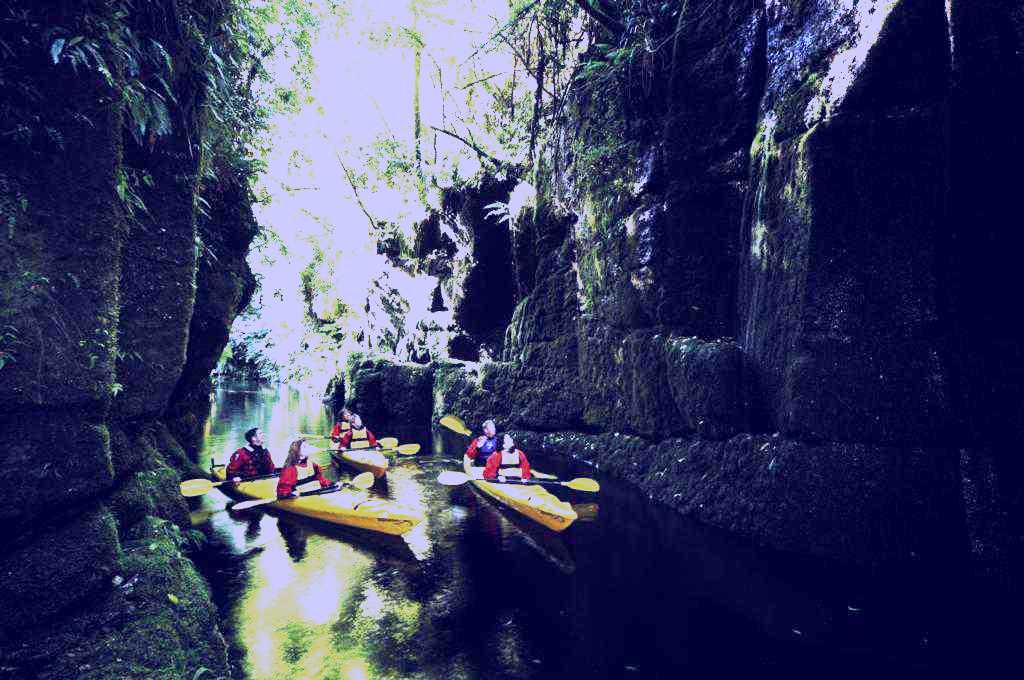 SubjectCoach | Kayak Tours