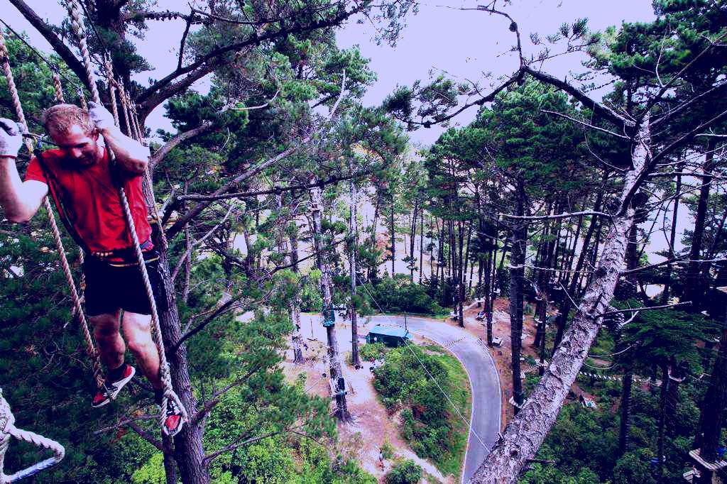 SubjectCoach | Adrenalin Forest Christchurch