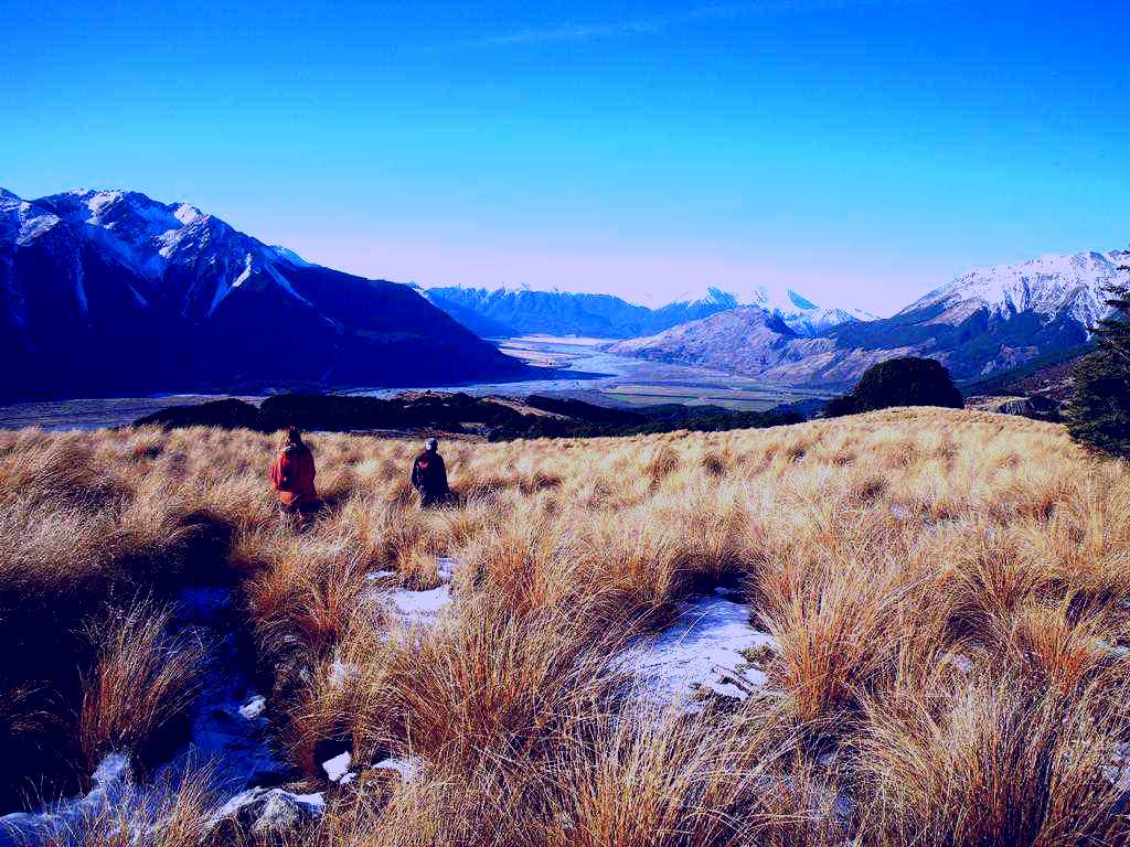 SubjectCoach | Arthur's Pass Eco Lodge Image 1