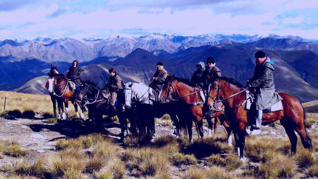 SubjectCoach | Adventure Horse Trekking NZ Limited