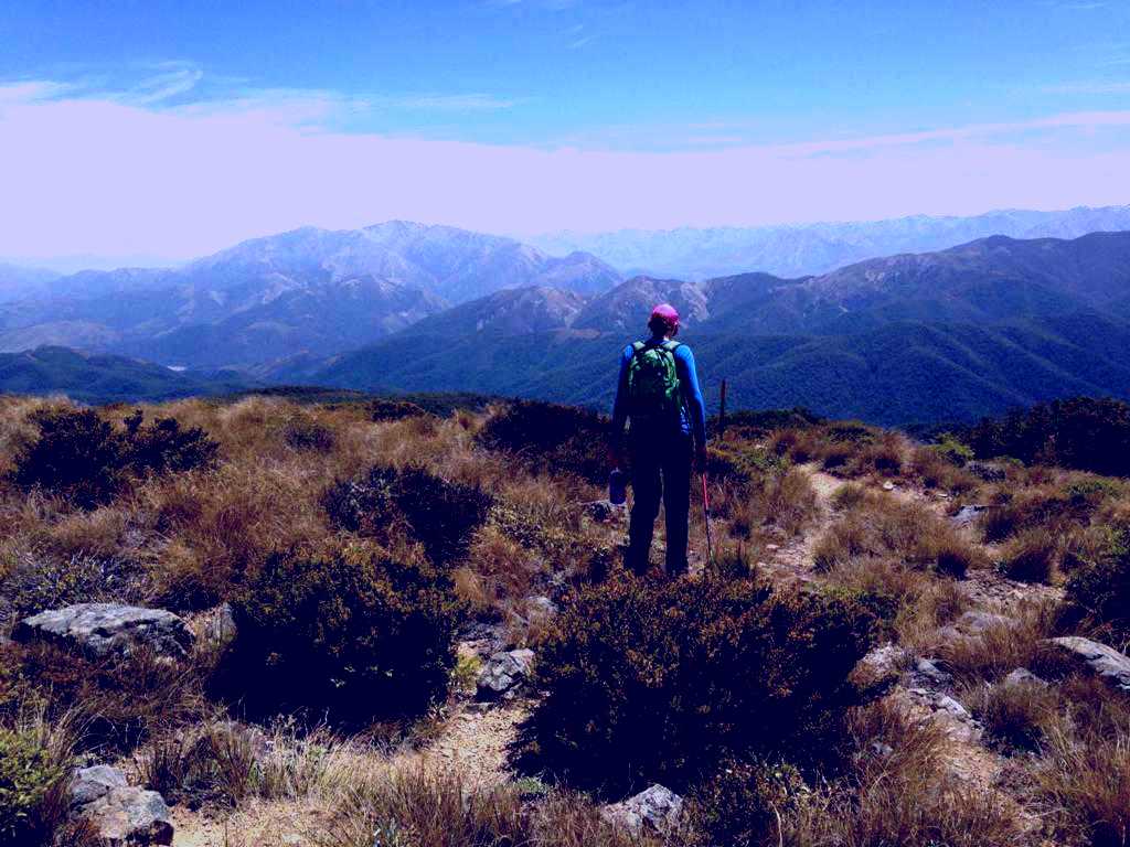 SubjectCoach | Foothill forests - Mt Oxford Summit Guided Day Walk