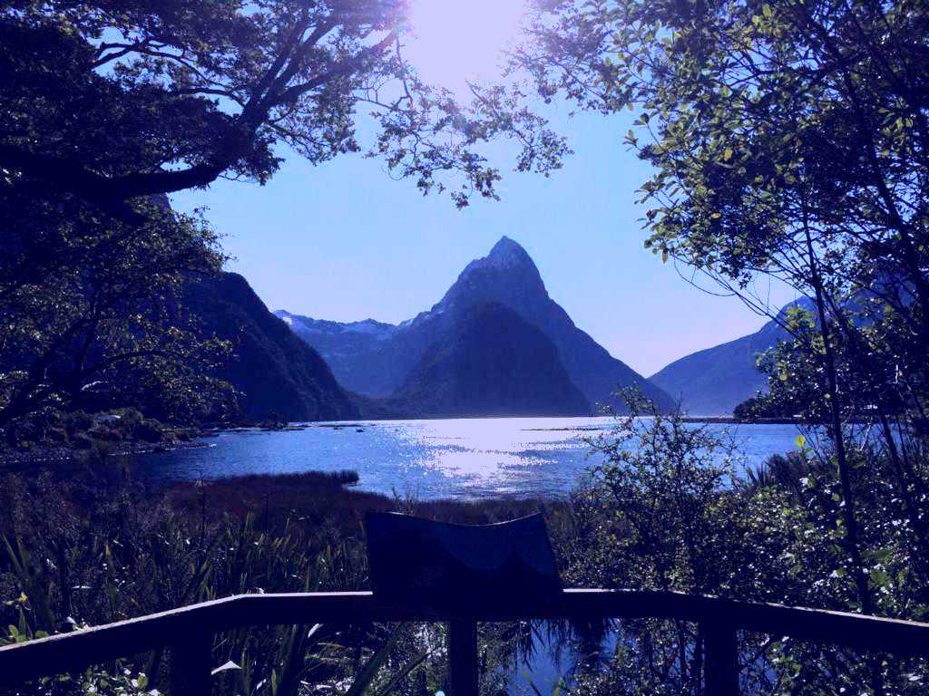 SubjectCoach | Milford Sound Flights | Air Safaris