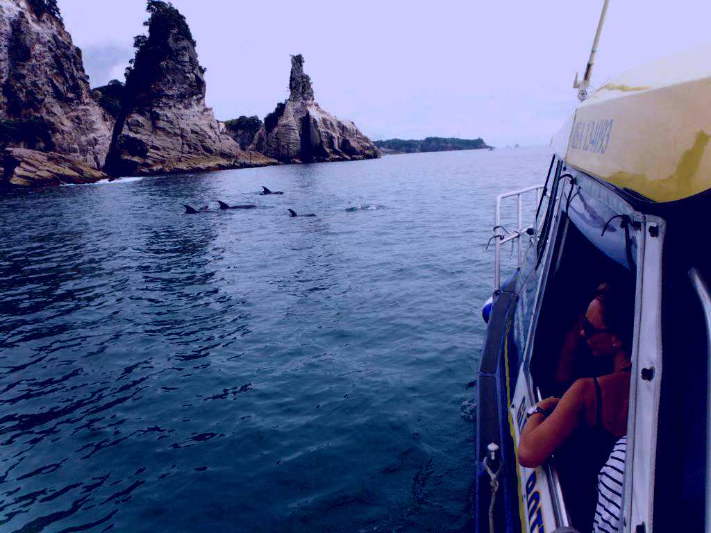 SubjectCoach | Glass Bottom Boat Cathedral Cove Cruise