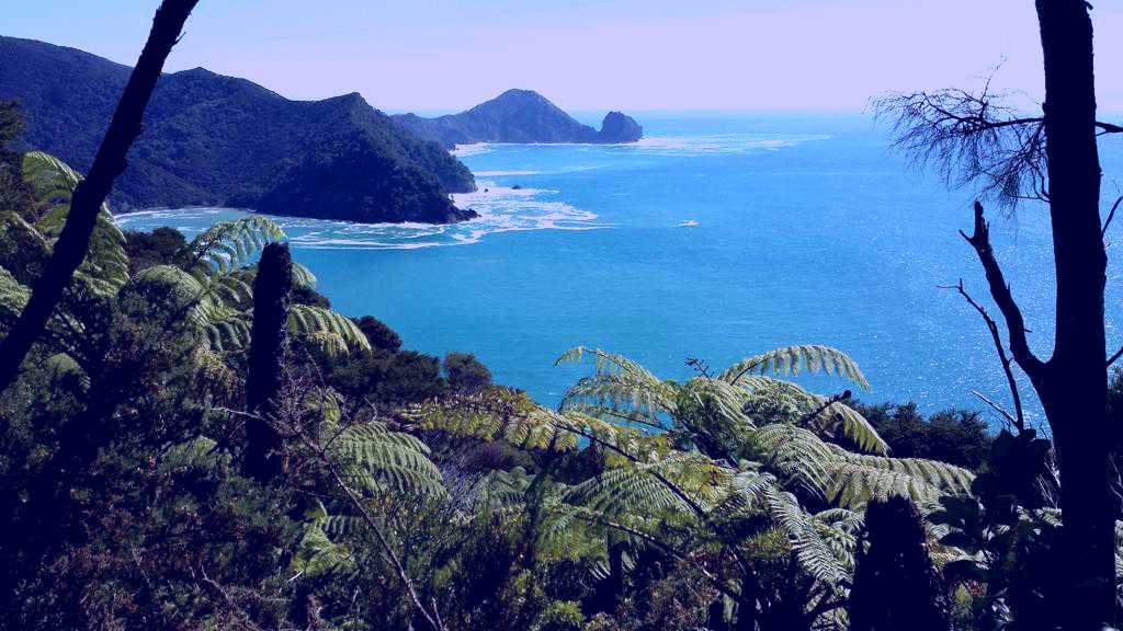 SubjectCoach | Coromandel Ultimate Walks 4 Day Package