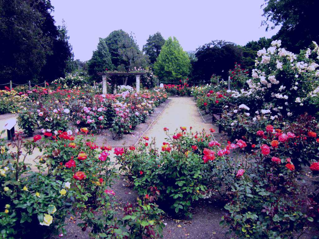 SubjectCoach | Dunedin Botanic Garden