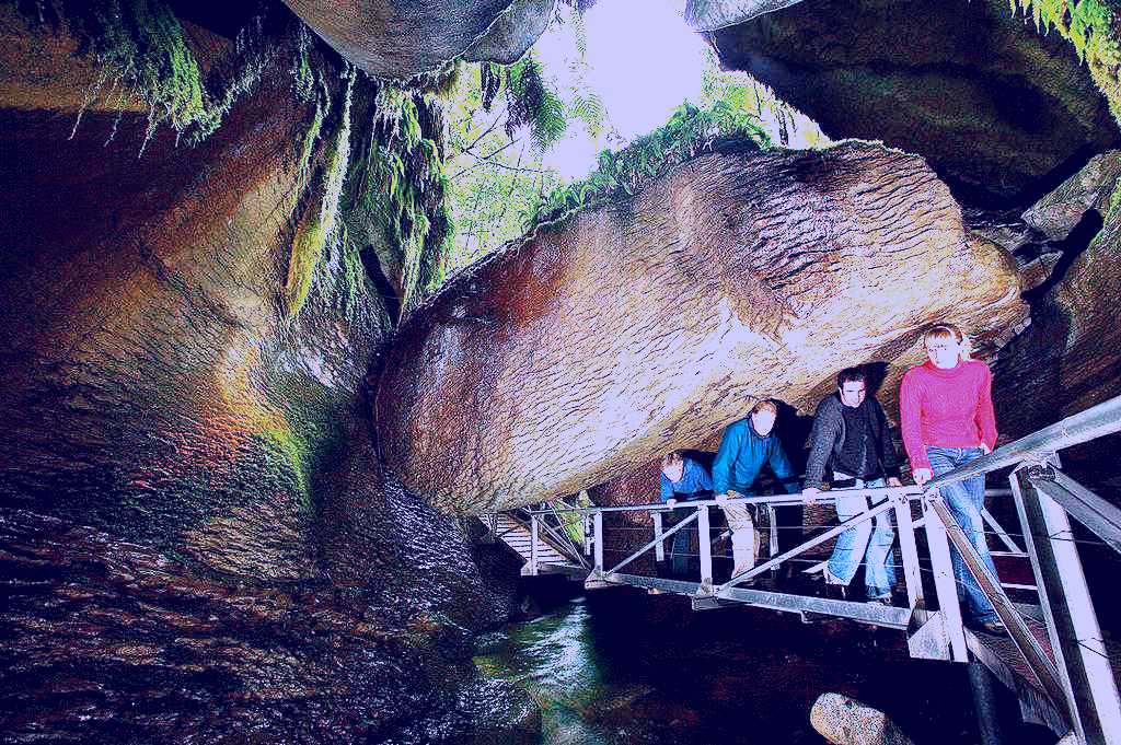 SubjectCoach | Te Anau Glowworm Caves, Real Journeys