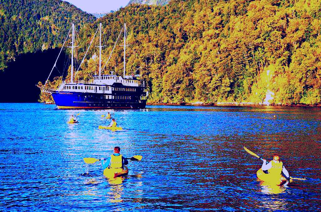 SubjectCoach | Doubtful Sound Overnight Cruises, Real Journeys