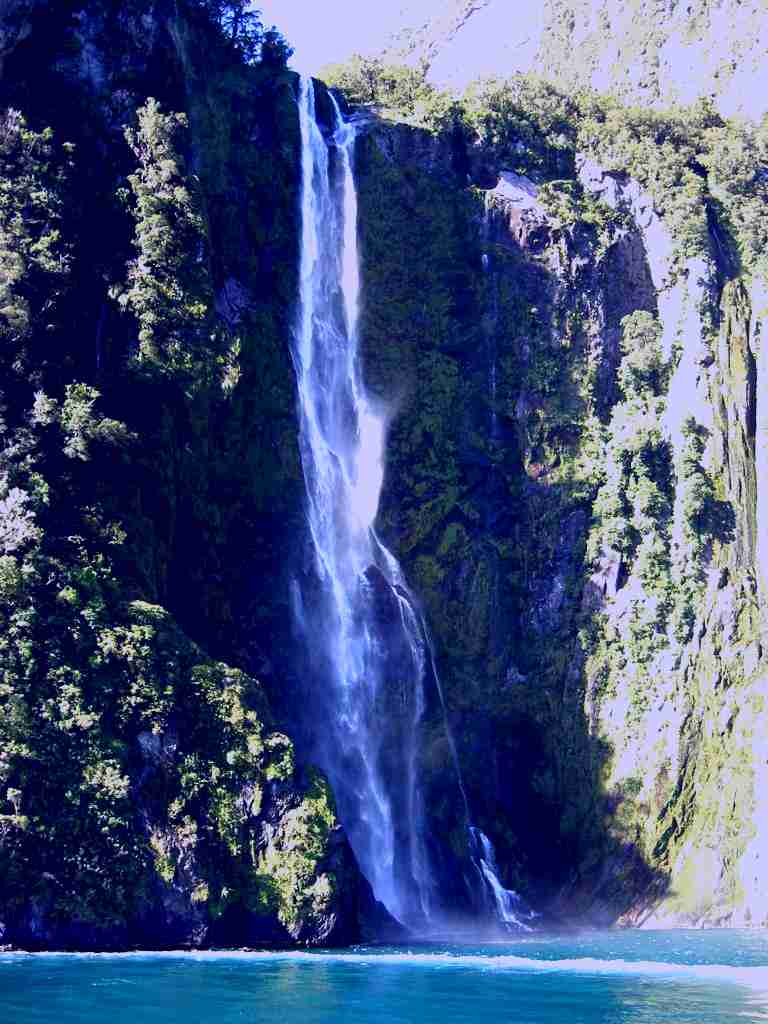 SubjectCoach | JUCY Cruise Milford Sound Image 1