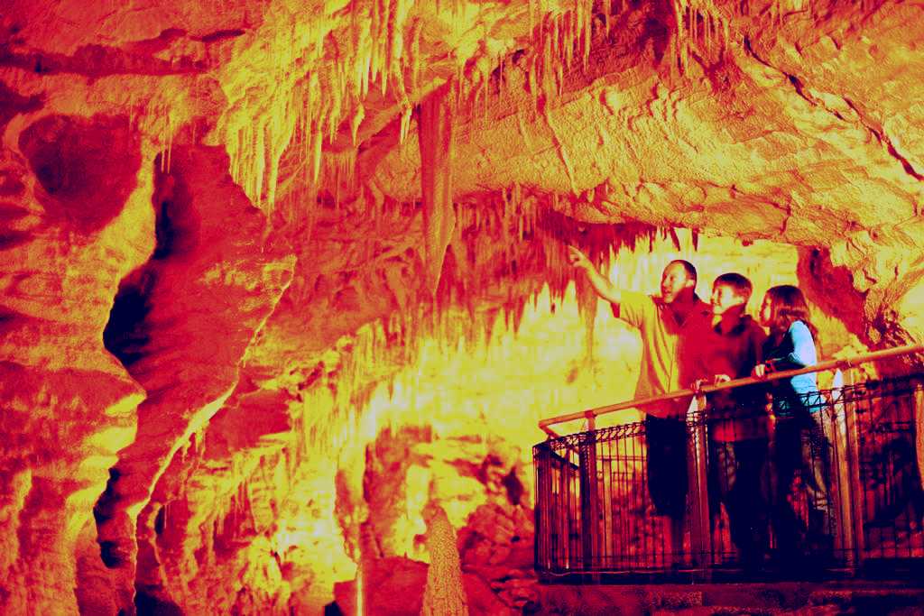 SubjectCoach | Ruakuri Cave - Underground Adventure