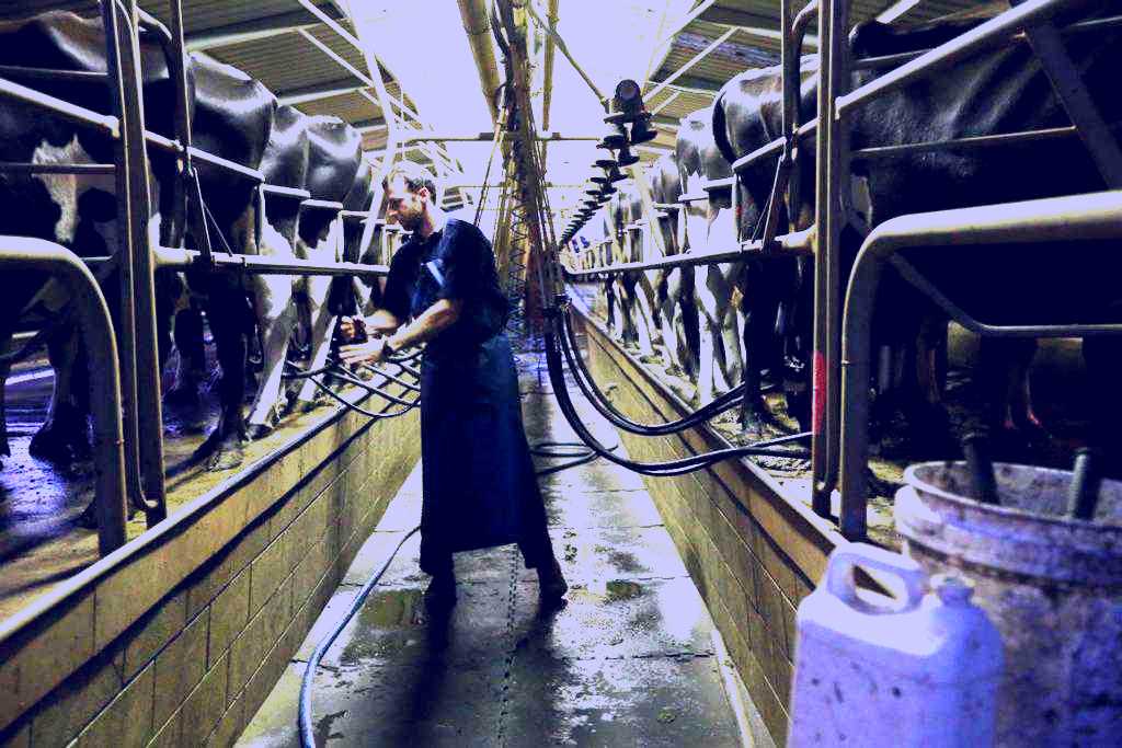 SubjectCoach | Dairy Farm Cambridge