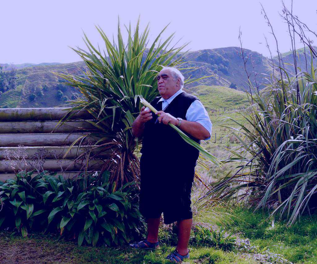 SubjectCoach | Waimarama Maori Tours - A Day in the Life of a Maori Elder