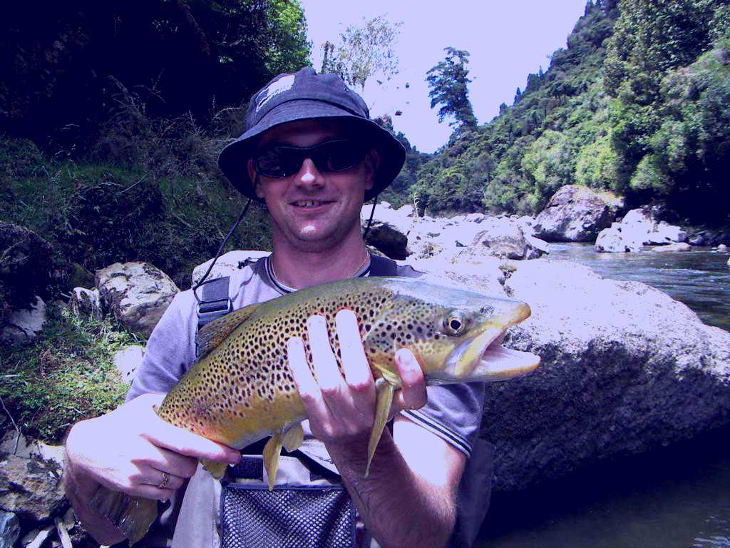 SubjectCoach | Dream Trout New Zealand