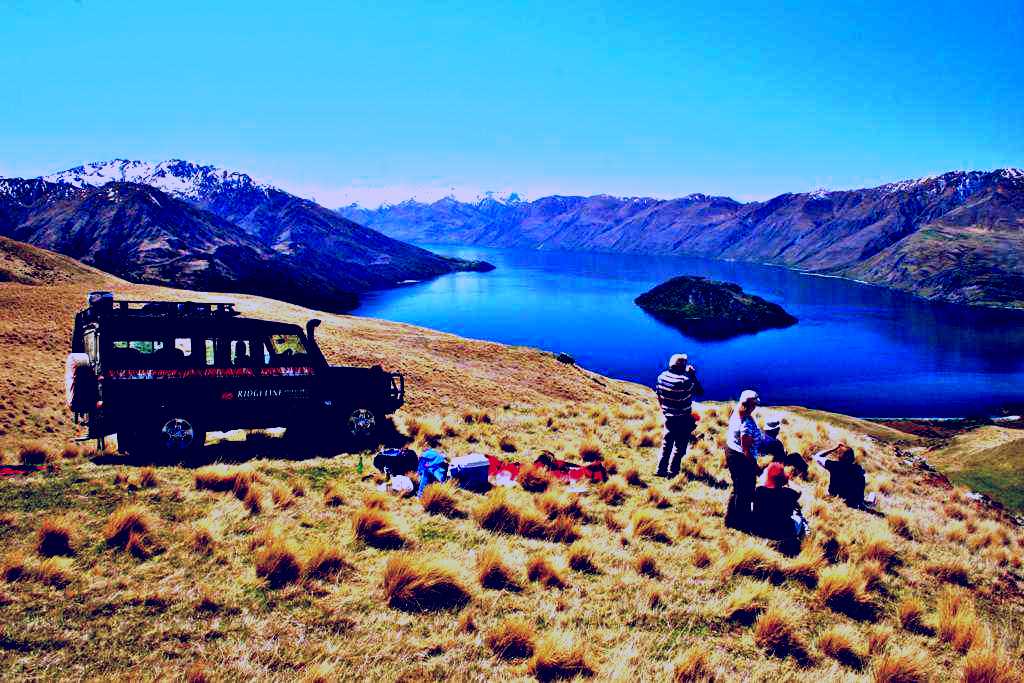 SubjectCoach | Wild Hills of Wanaka 4WD Safari