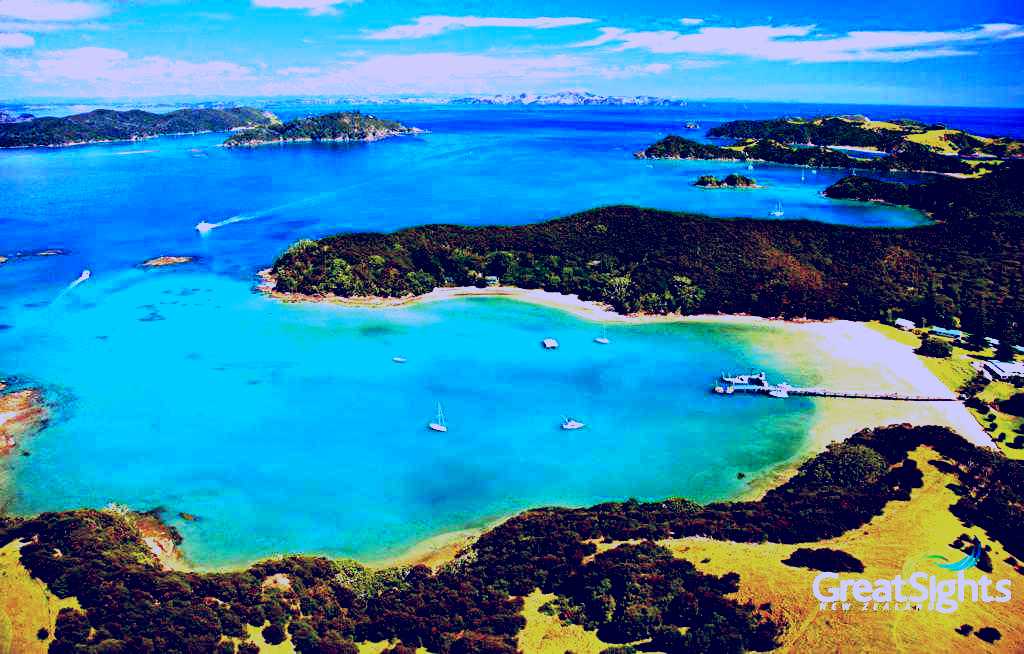 SubjectCoach | Bay of Islands Day Tour + Dolphin Watching Cruise