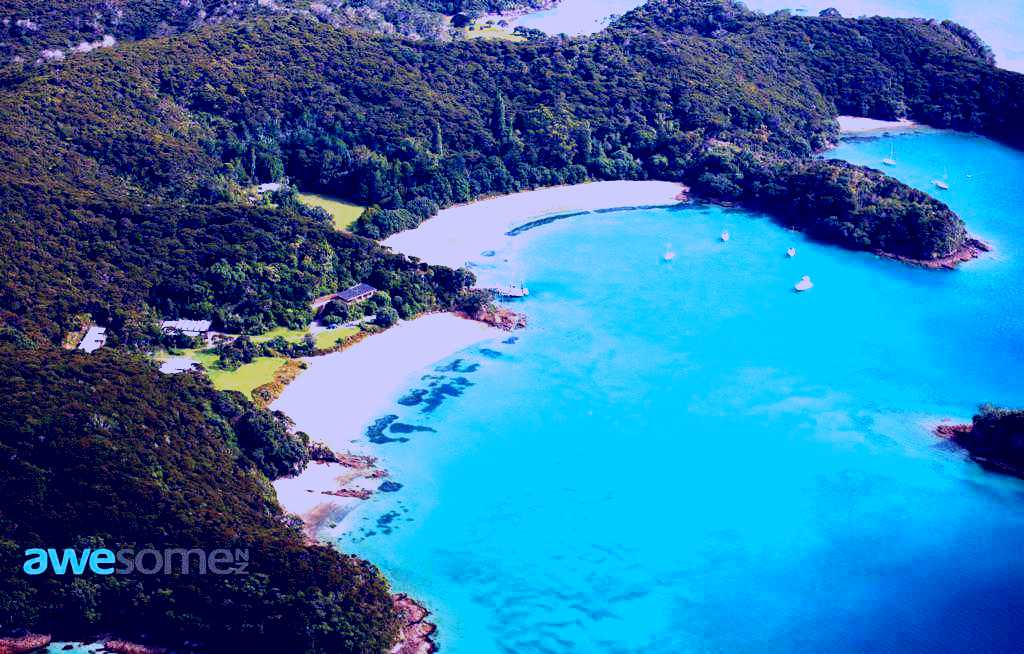 SubjectCoach | Swim with Dolphins Bay of Islands - awesomeNZ.com