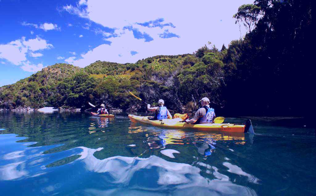 SubjectCoach | Glenorchy Island safari