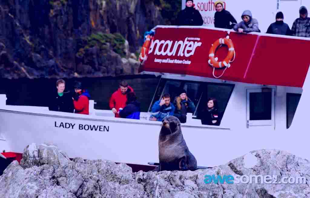 SubjectCoach | Milford Sound Day Tour - awesomeNZ.com