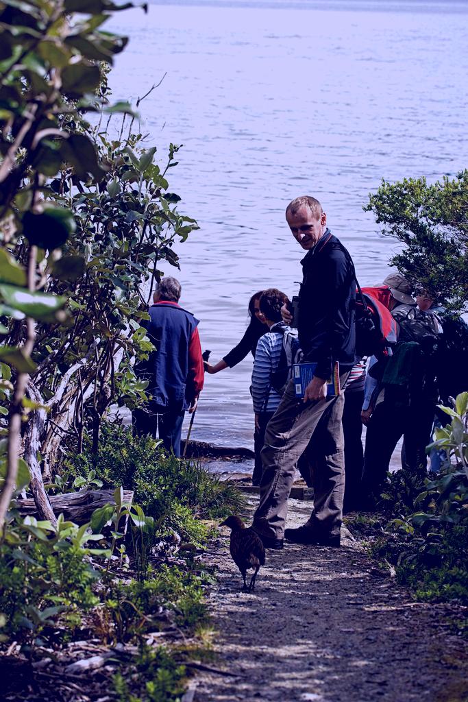 SubjectCoach | Ulva Island Birds & Forest Guided Walk with Ruggedy Range™