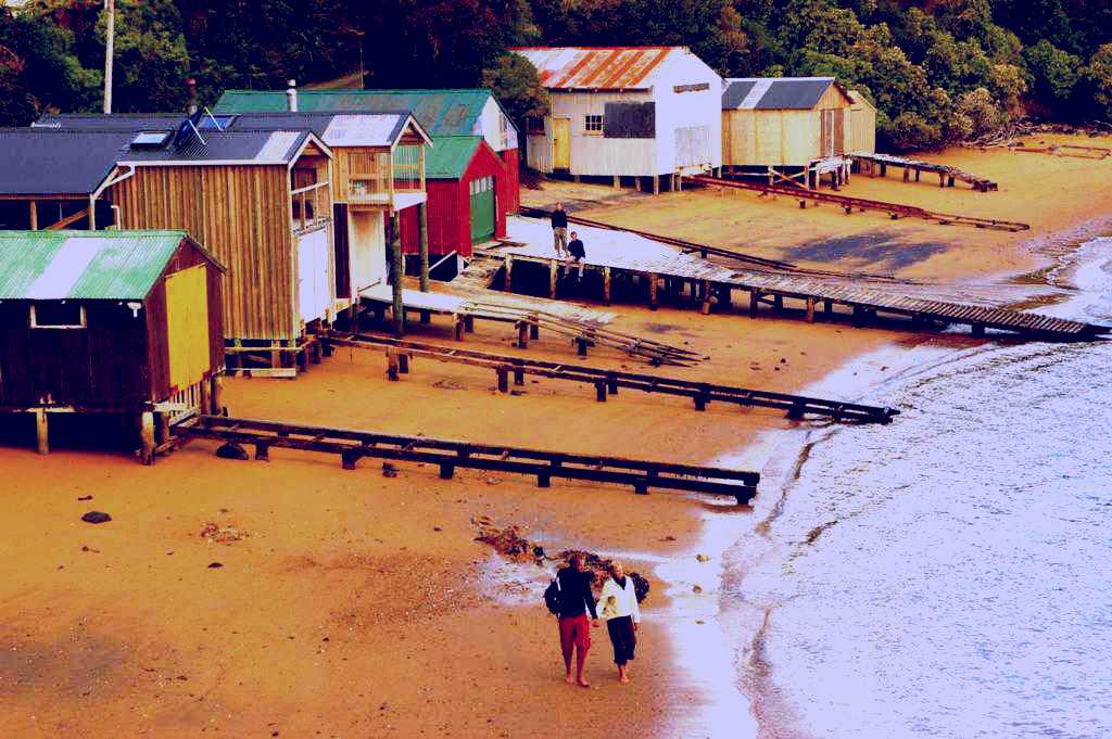 SubjectCoach | Stewart Island Guided Walk