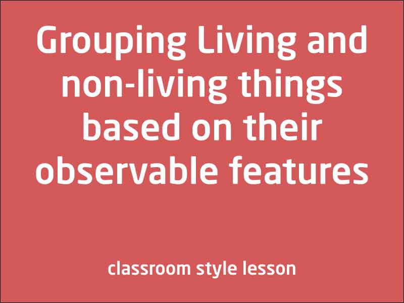 SubjectCoach | Living things can be grouped on the basis of observable features